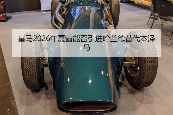 huang-ma-nian-xia-chuang-neng-fou-yin-jin-ha-lan-de-ti-dai-ben-ze-ma-2-294.jpg