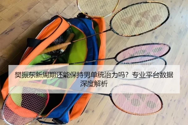樊振东新周期还能保持男单统治力吗？专业平台数据深度解析