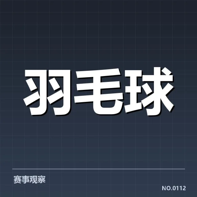 已确认的具体事实和比赛数据